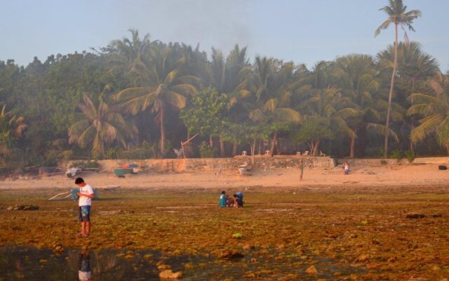 Toris Backpackers Paradise