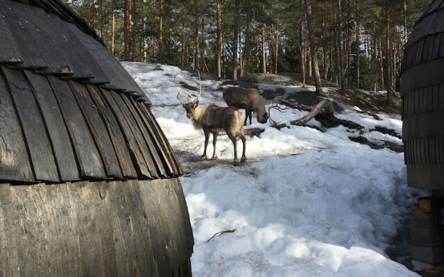 Igluhut sleeping with reindeer