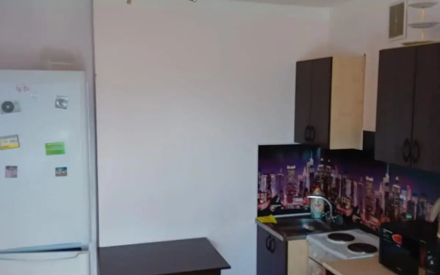 Апартаменты на улице Гущина 175