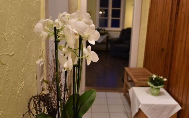 Ferienwohnung Domäne Süpplingenburg