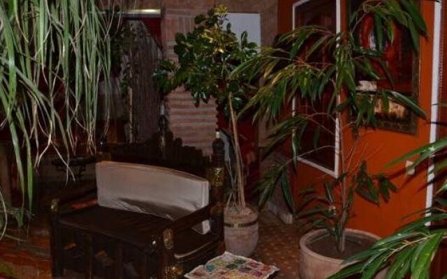 Riad CharCam - Adults Only