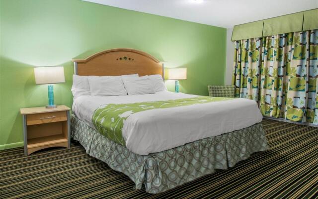 Rodeway Inn & Suites Winter Haven Chain Of Lakes