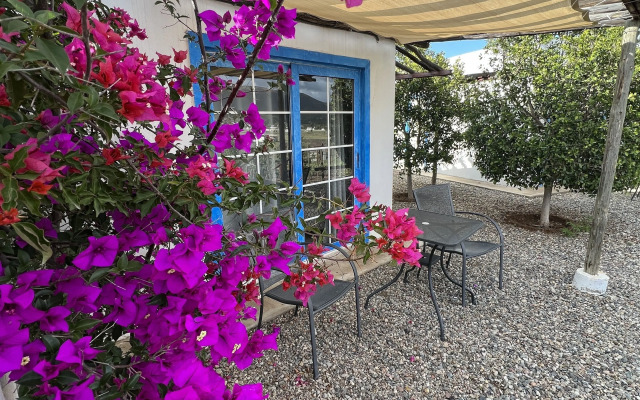 Santerra, Valle de Guadalupe