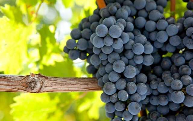 Terres de France Prayssac