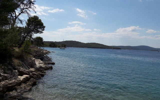 Holiday house Nadi - cosy & quiet: Milna (Brac), Island Brac
