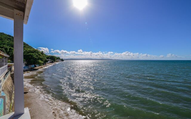 Lemontree Oceanfront Cottages