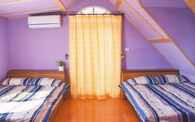 Puli 303 BB