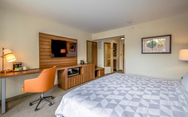 Holiday Inn San Jose La Sabana by IHG