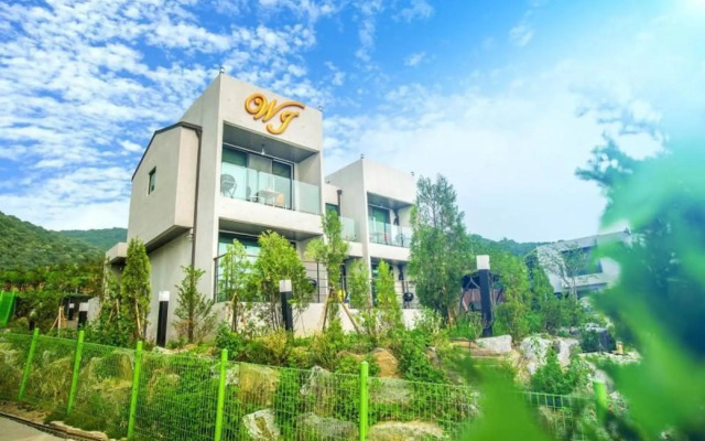 Paju W&J Pension