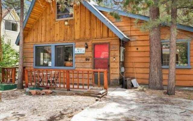 THE Bear Bauhaus #2106