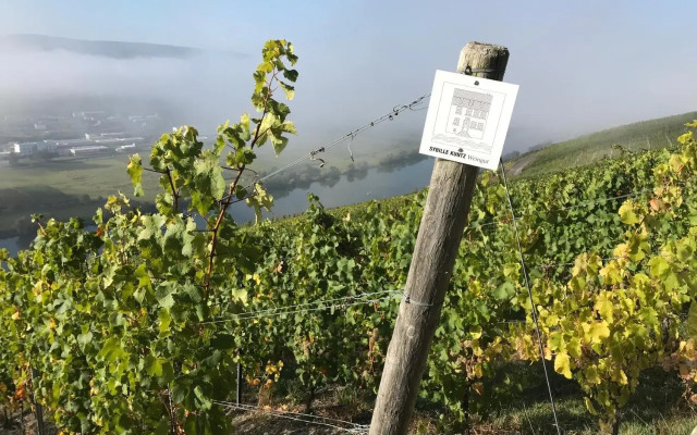 SYBILLE KUNTZ Weingut Gästehaus