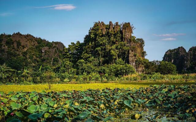 Tam Coc Cocoon Homestay