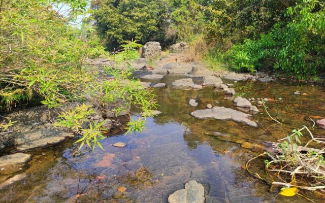 River Bird (Dalvi's Farm Tourism)