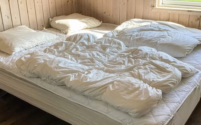 4 Star Holiday Home in Idestrup