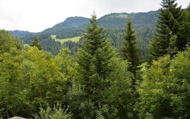 Appartement Le Grand-Bornand, 1 pièce, 4 personnes - FR-1-241-66