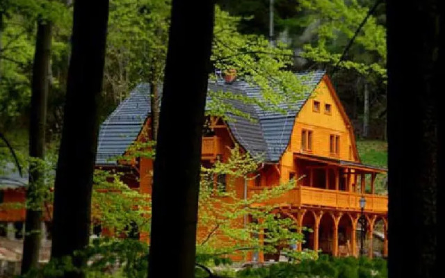 Pensjonat Alpejski Dwór