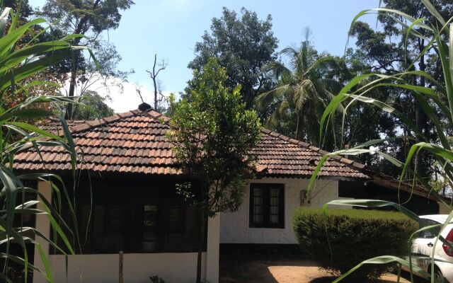 Chai Guest House Munnar