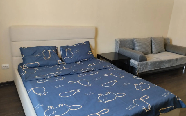 Апартаменты на улице Восточно-Кругликовская 28/3