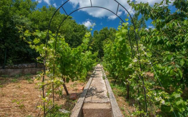 Organic Gardens Villa