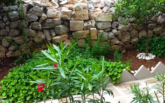 Masseria Nenetta Bed  Breakfast