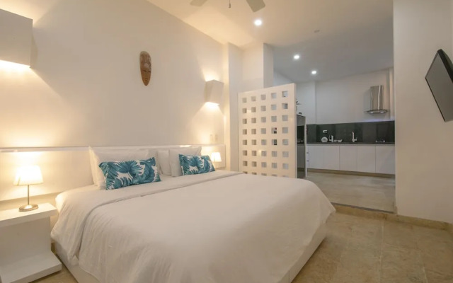 El Cactus Luxury Apartments in Historic Center