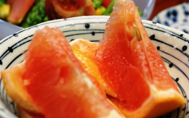 Tomimotokan
