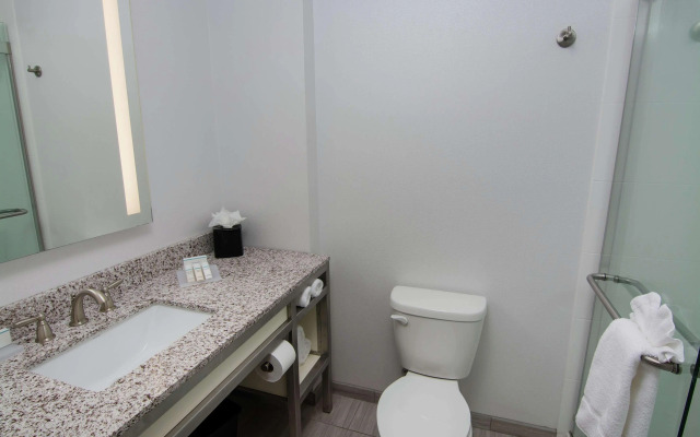 Hilton Garden Inn Tampa Suncoast Parkway