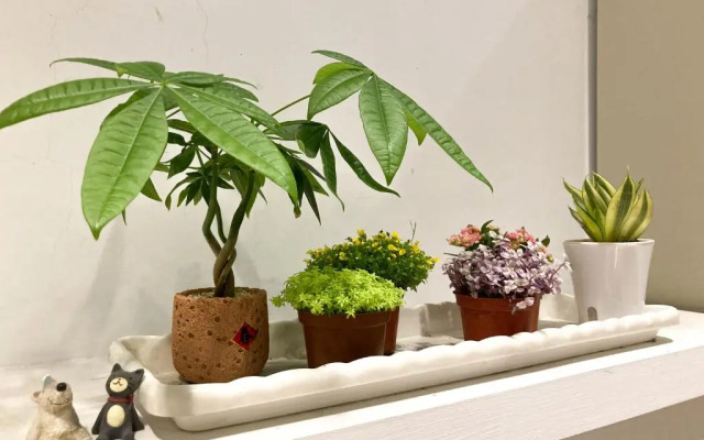 斯格加旅店 4Plus Hotel