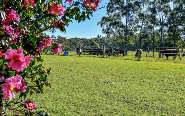Curra Homestead Maleny