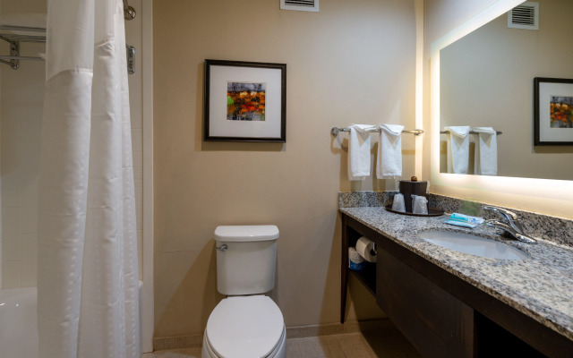 Holiday Inn Murfreesboro by IHG