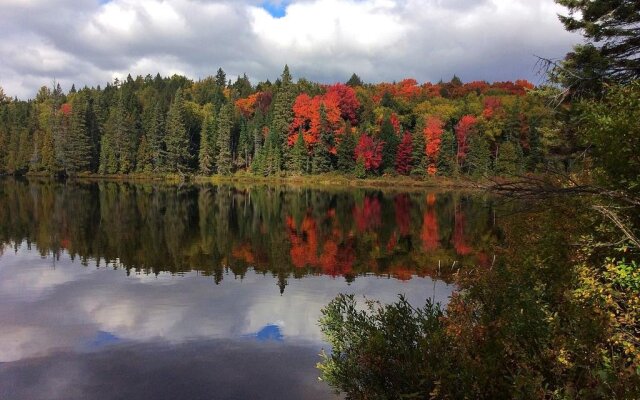 Madawaska Lodge-Cottage