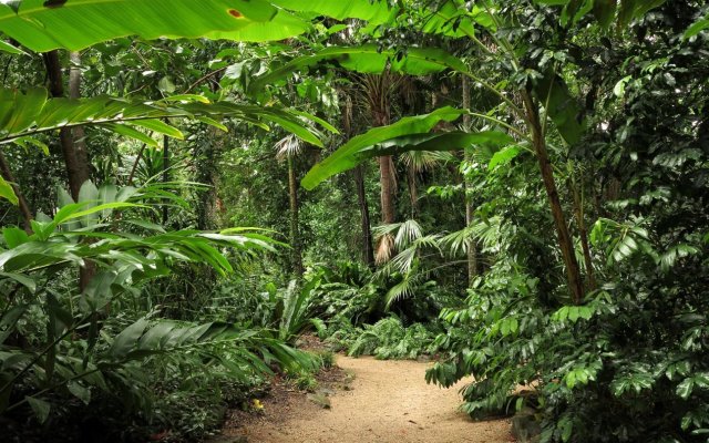 Bohemia Resort Cairns