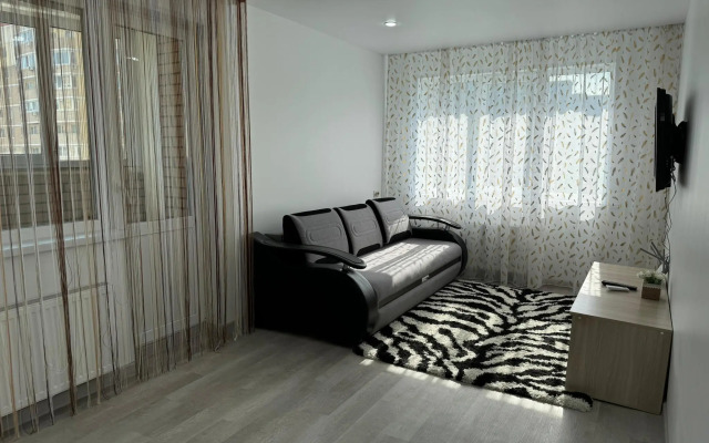 Апартаменты на улице Полковника Фесюна 17