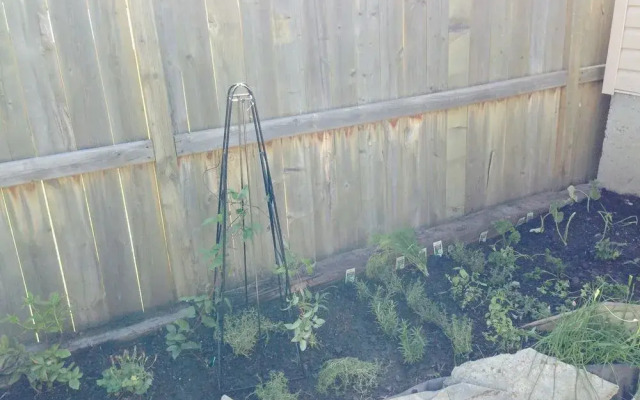 Direct Line Accomodations