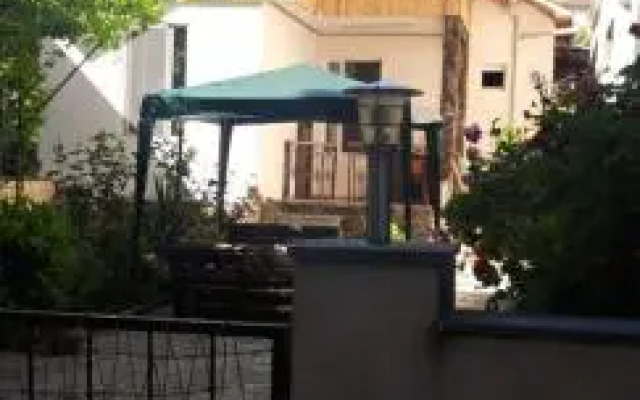 Ira & Vaso's Apart hotel Borjomipark