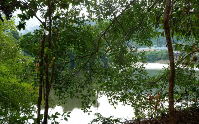 Elephant Jungle Sanctuary