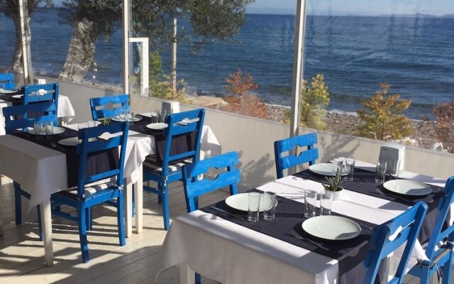 Mavizeytin Beach Club