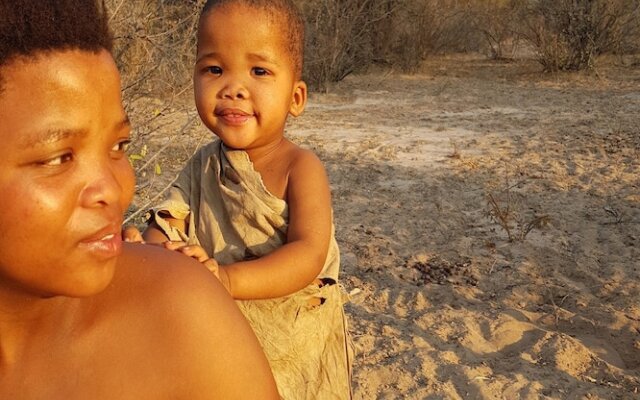 Grassland Bushman Lodge