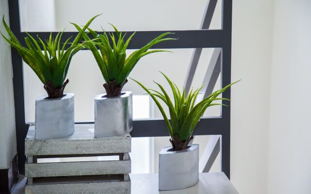 Beautiful New Home Near The US Consulate