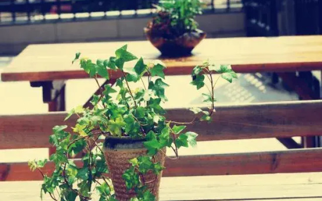 Zhujiajian Longqinhai Holiday Homestay