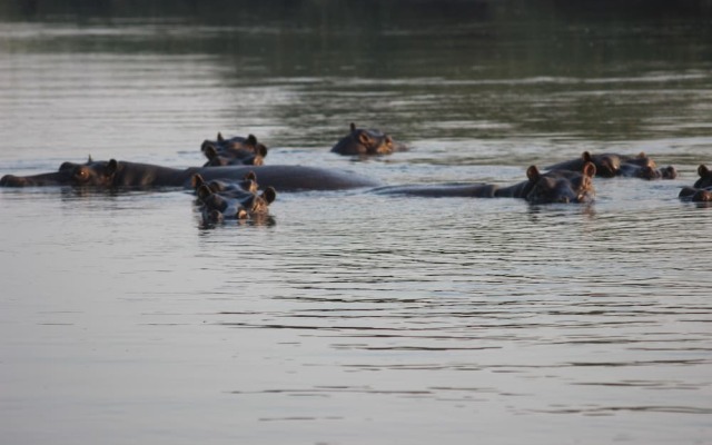 Ndhovu Safari Lodge - Campground
