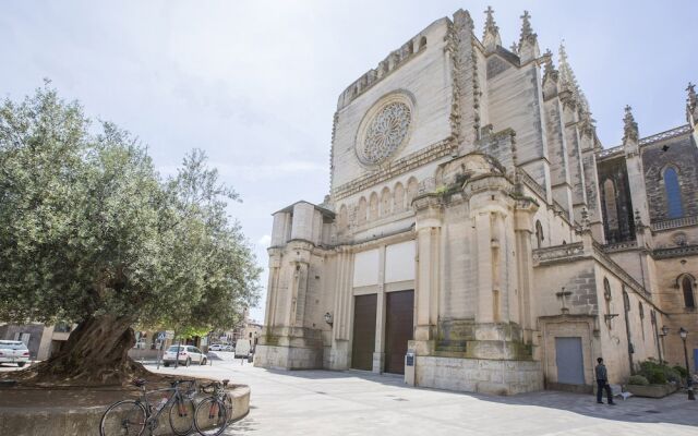 Finca Short De Conies (Baix-Paulonia)