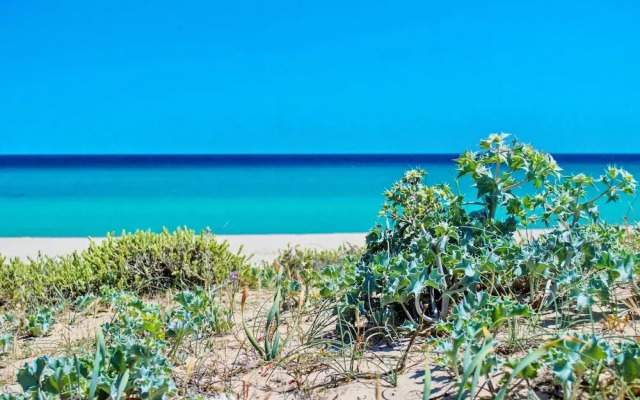 Two-room Apartment in Costa Rei Near sea
