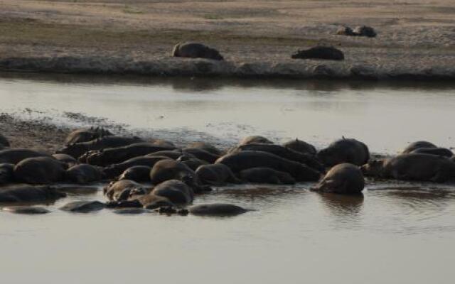 Zikomo Safari Camp