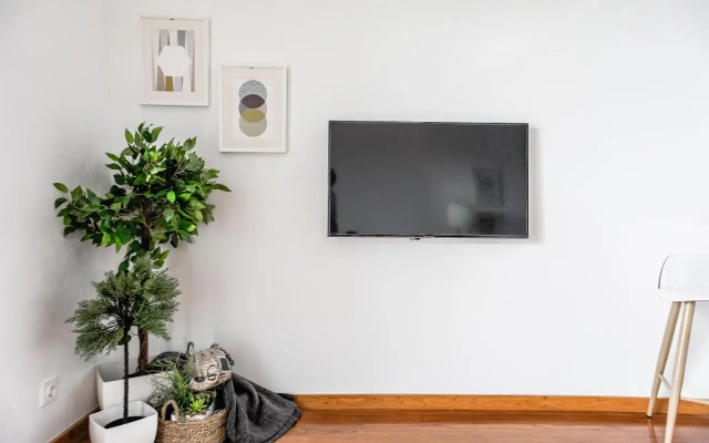 Trendy Apartments