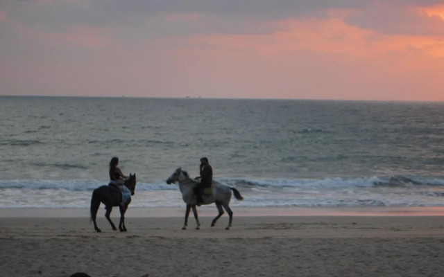 Credo Jungle Resort - Agonda