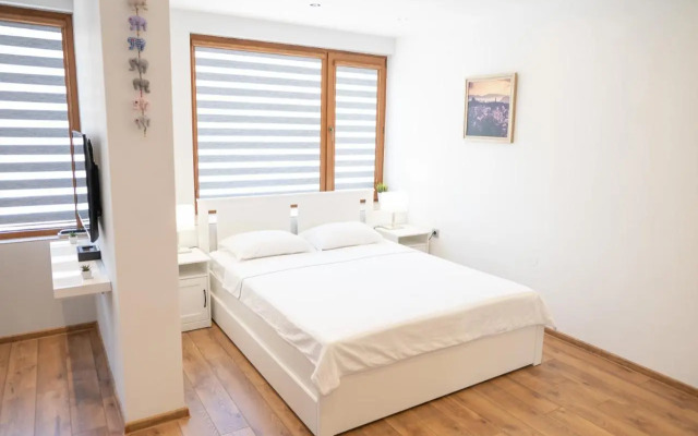 Shushi's Central Studio Apartment