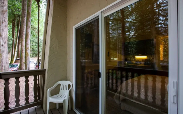 Mt Baker Lodging Condo 77 - Sleeps 2