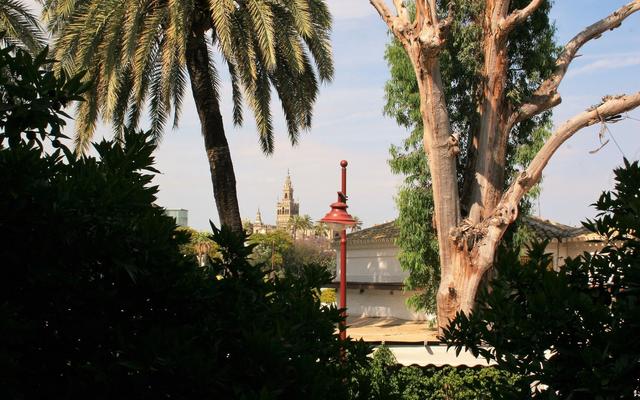 Seville Vacation Rentals - Giralda