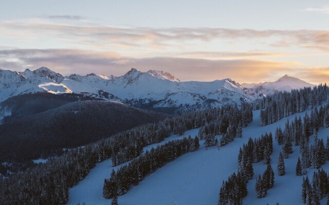 Upper Woodbridge #14-AB - 2 Br Condo